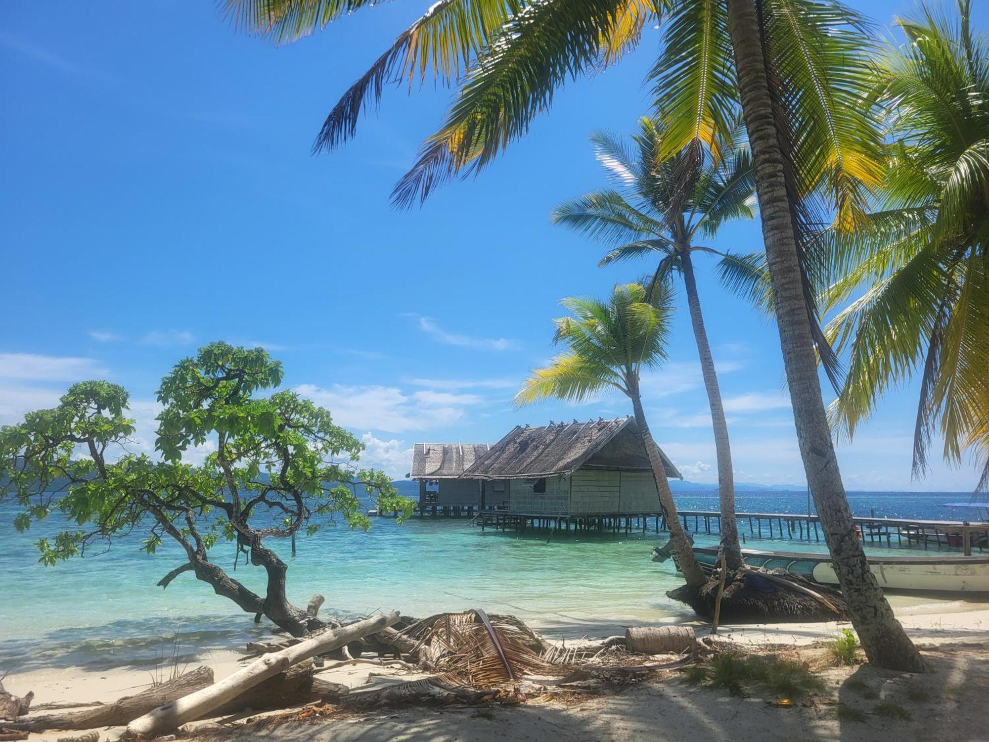 Frances Homestay - Raja Ampat Pulau Mansuar エクステリア 写真